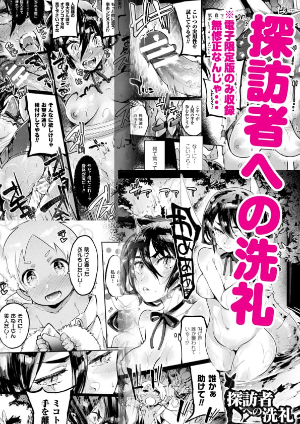 探訪者への洗礼(電子書籍のみ収録)